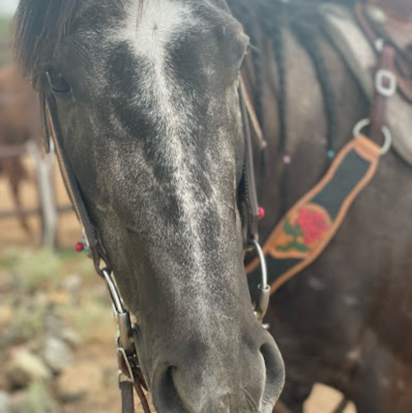 Meet your Posher, Jessica - Picture 1 of 1